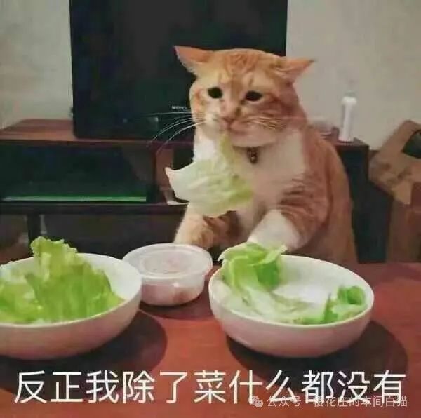 微信0day漏洞？恶意代码成功执行！附恶意代码构造 -13