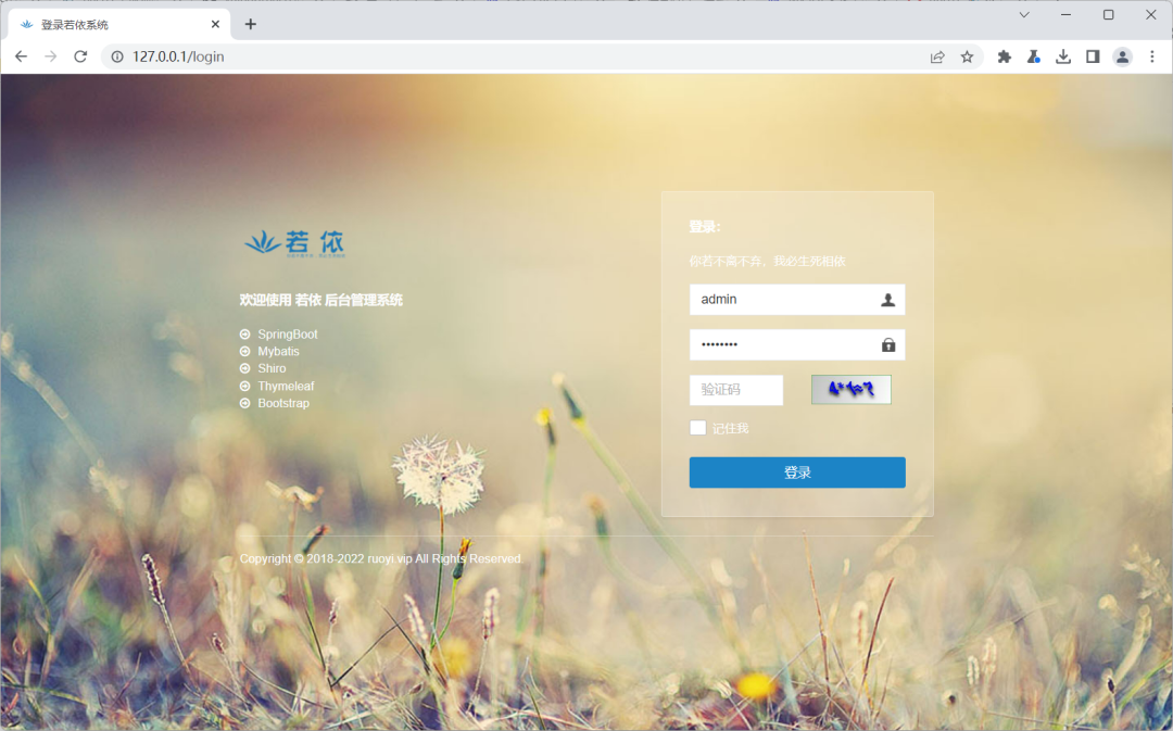【Web渗透】若依框架漏洞合集 -12