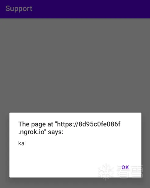 利用Android WebView漏洞 -20