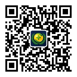 CVE-2024-25600：WordPress Bricks Builder远程命令执行漏洞通告 -7