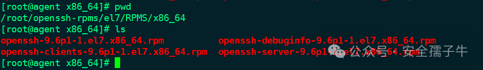 OpenSSH升级到9.6P1以修复CVE-2023-51385漏洞 -3