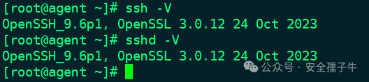 OpenSSH升级到9.6P1以修复CVE-2023-51385漏洞 -5