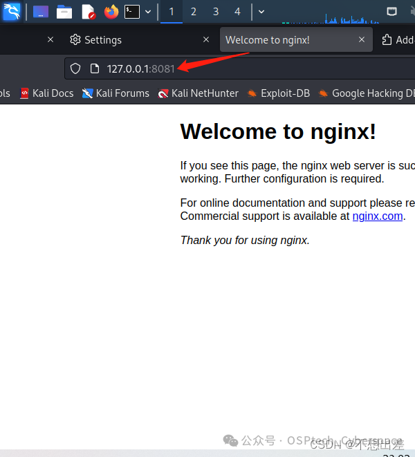 Web安全之Nginx常见漏洞解析 -2