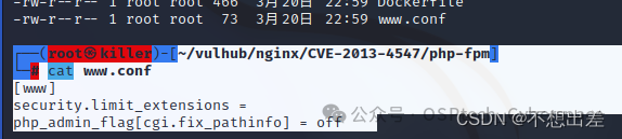 Web安全之Nginx常见漏洞解析 -11