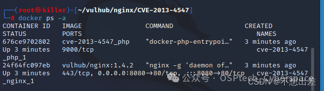 Web安全之Nginx常见漏洞解析 -12