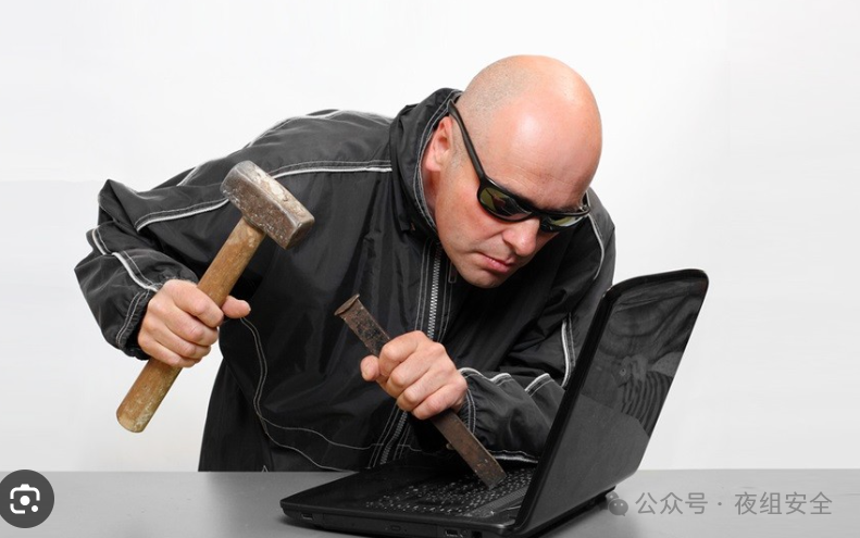一款以Web与全版本服务漏洞检测为核心的辅助性主、被动扫描工具 -2