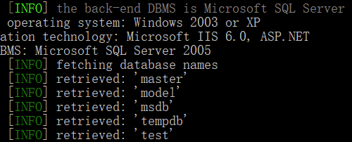 【攻防实战】SQL Server注入之攻防技战法