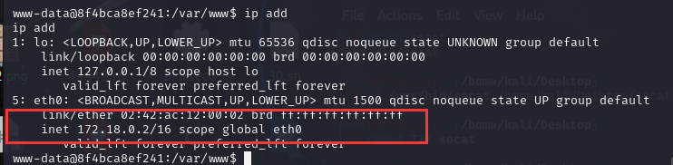 vulnerable_docker（easy）Frp、reGeorg内网穿透、docker逃逸、wpscan爆破，提权