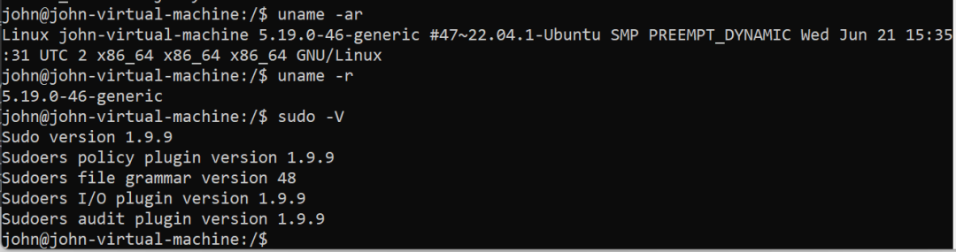 CVE-2025-32462&CVE-2025-32463