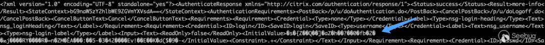 原创 Paper | CitrixBleed 2 (CVE-2025-5777) 成因分析