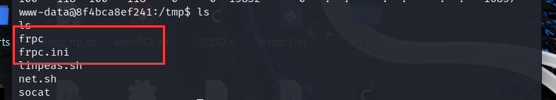 vulnerable_docker（easy）Frp、reGeorg内网穿透、docker逃逸、wpscan爆破，提权