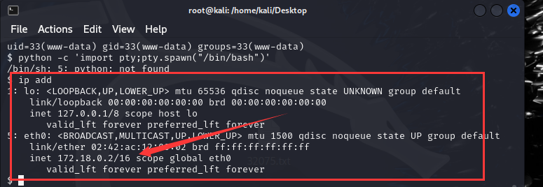 vulnerable_docker（easy）Frp、reGeorg内网穿透、docker逃逸、wpscan爆破，提权