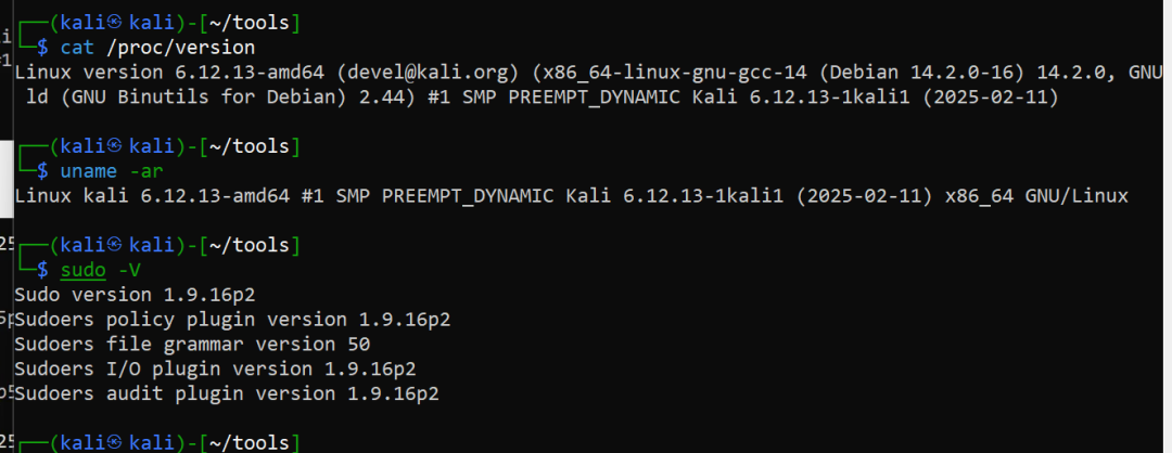CVE-2025-32462&CVE-2025-32463