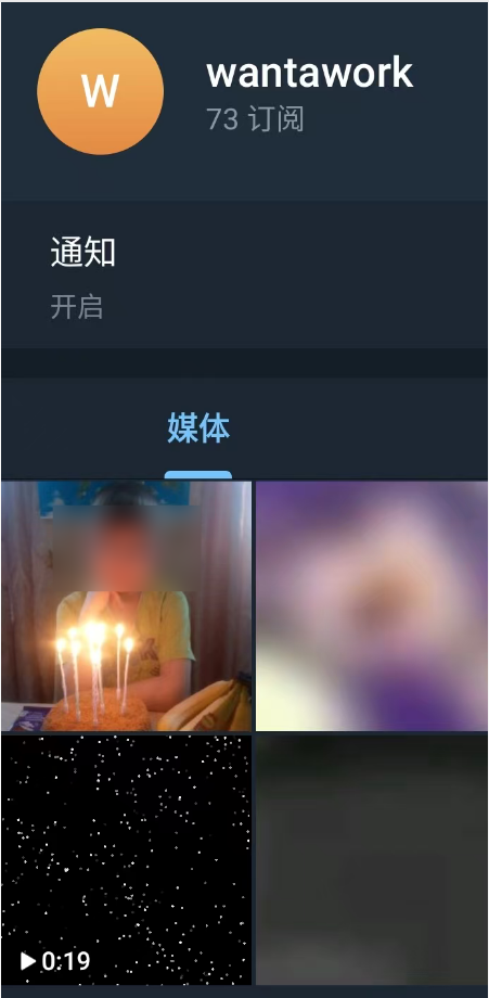 【0day】Telegram私密群组/频道未授权访问