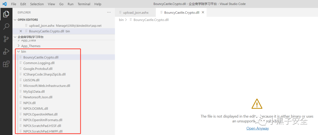 代码审计-ASP.NET项目-文件上传漏洞