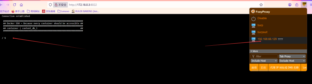 vulnerable_docker（easy）Frp、reGeorg内网穿透、docker逃逸、wpscan爆破，提权