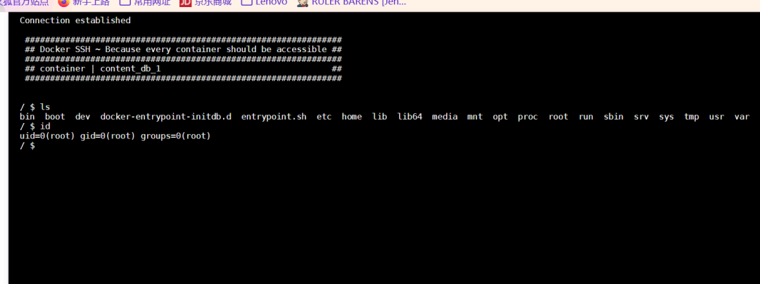 vulnerable_docker（easy）Frp、reGeorg内网穿透、docker逃逸、wpscan爆破，提权