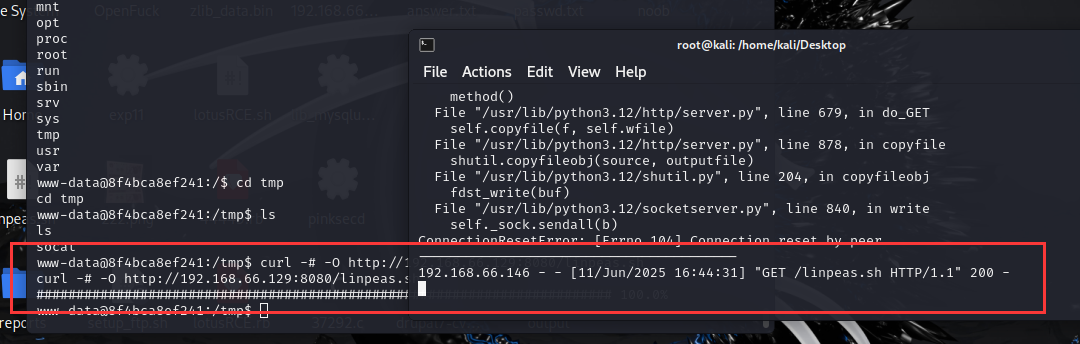 vulnerable_docker（easy）Frp、reGeorg内网穿透、docker逃逸、wpscan爆破，提权
