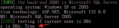 【攻防实战】SQL Server注入之攻防技战法