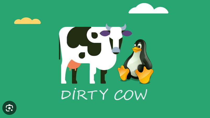 PassGuard是一个轻量级安全工具，专为防护Linux系统中的脏牛(Dirty COW)内核漏洞而设计。