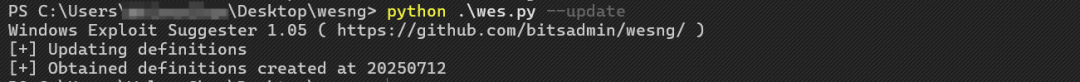 【工具分享】Windows漏洞检查工具：Windows Exploit Suggester - Next Generation